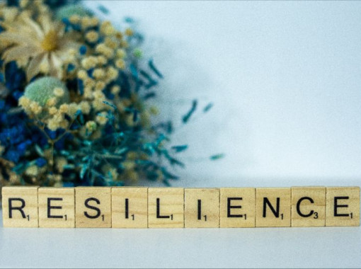 Resilience